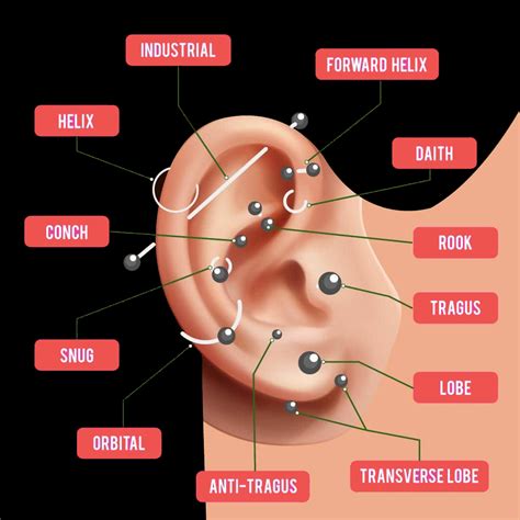 sexiest piercings|Body and Ear Piercing Visual Guide: All The Different .